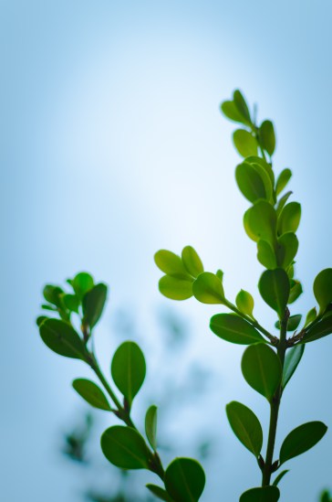 bfb1add7c36859b87f53427c58172eee