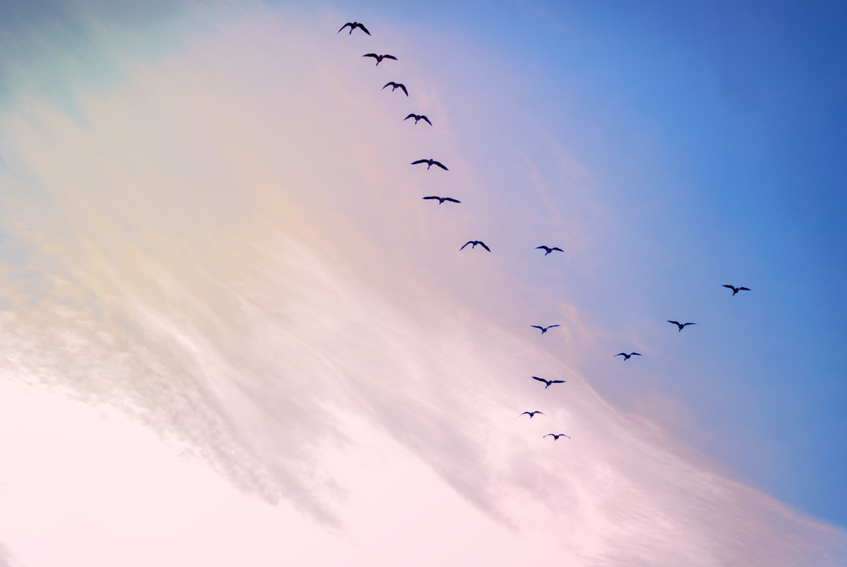 lightstock_134919_small_byrene_haney