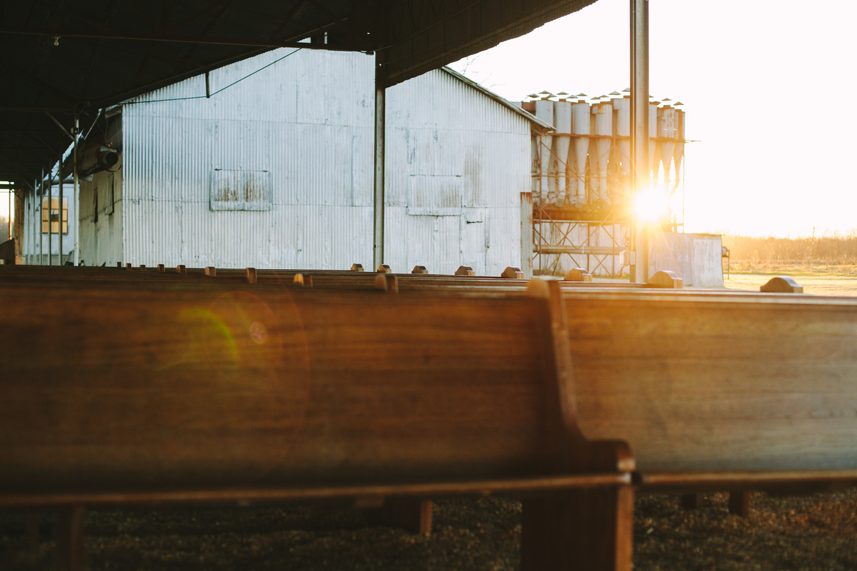 lightstock_200092_small_byrene_haney